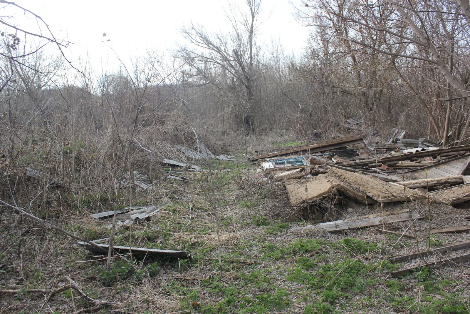 Canon EOS 550D (EOS Rebel T2i / EOS Kiss X4) sample photo. The ruins of the photography