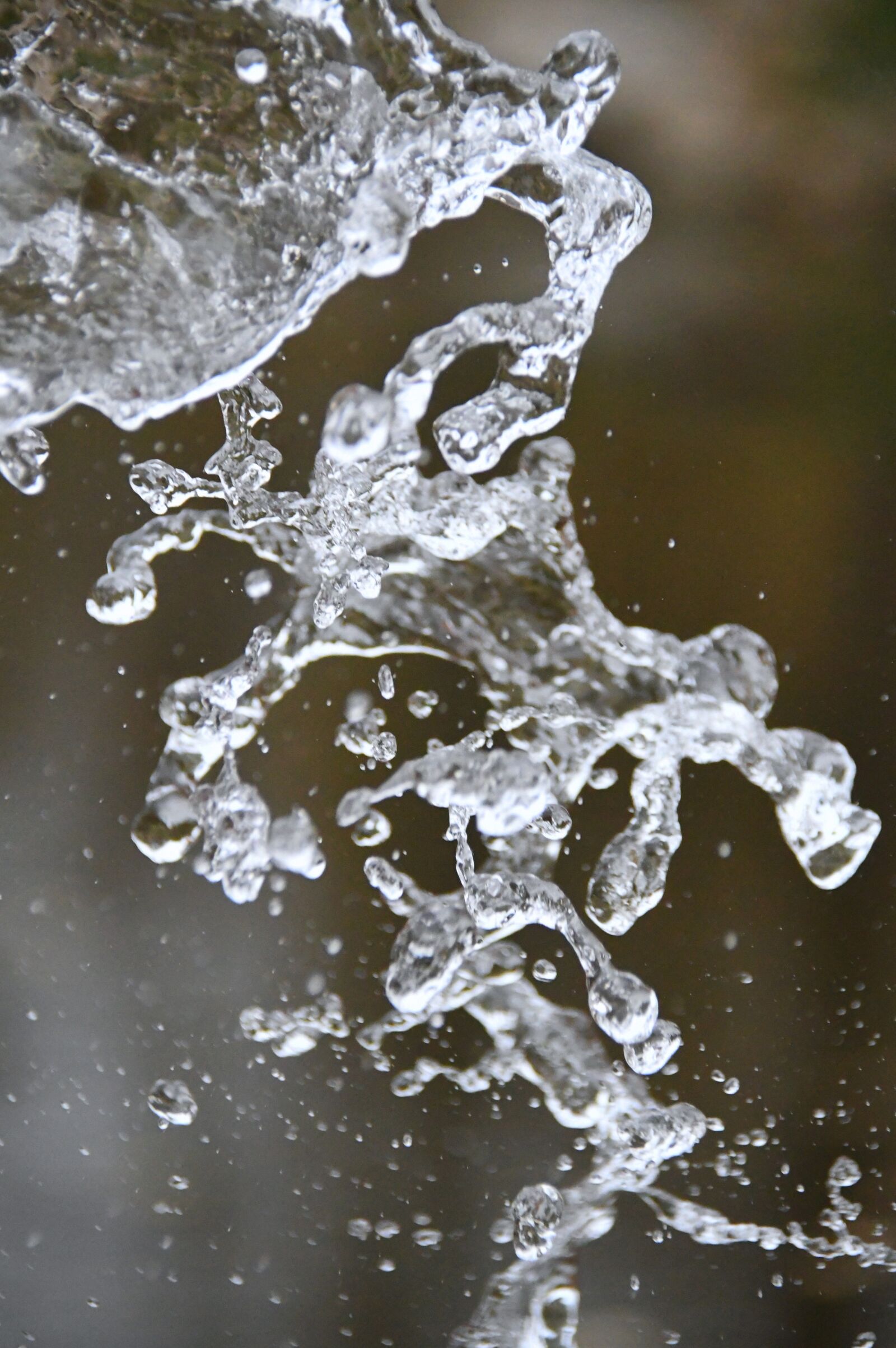 Nikon D3200 sample photo. Just add water, splash photography