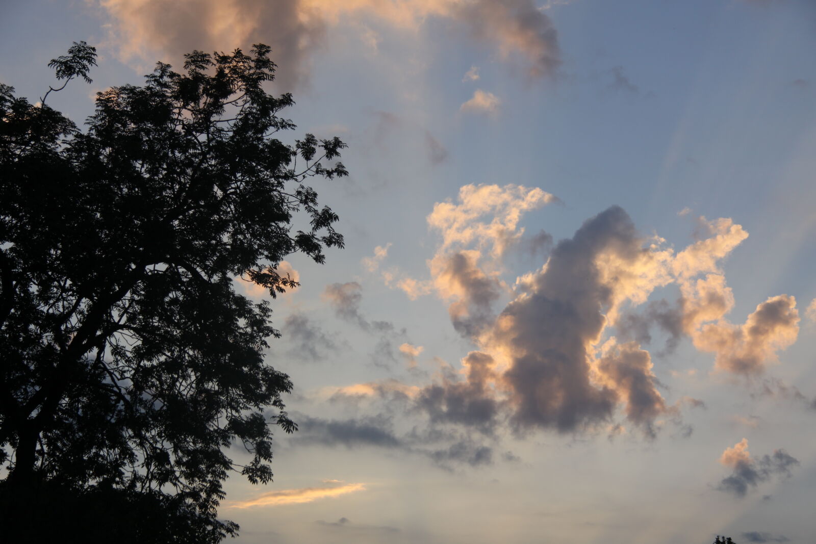 Canon EOS 50D + Canon EF-S 17-85mm F4-5.6 IS USM sample photo. Cloud, golden, hour, sky photography