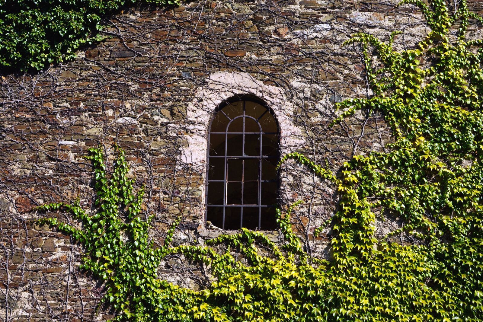 Nikon D5200 sample photo. Window, building, architecture, facade photography