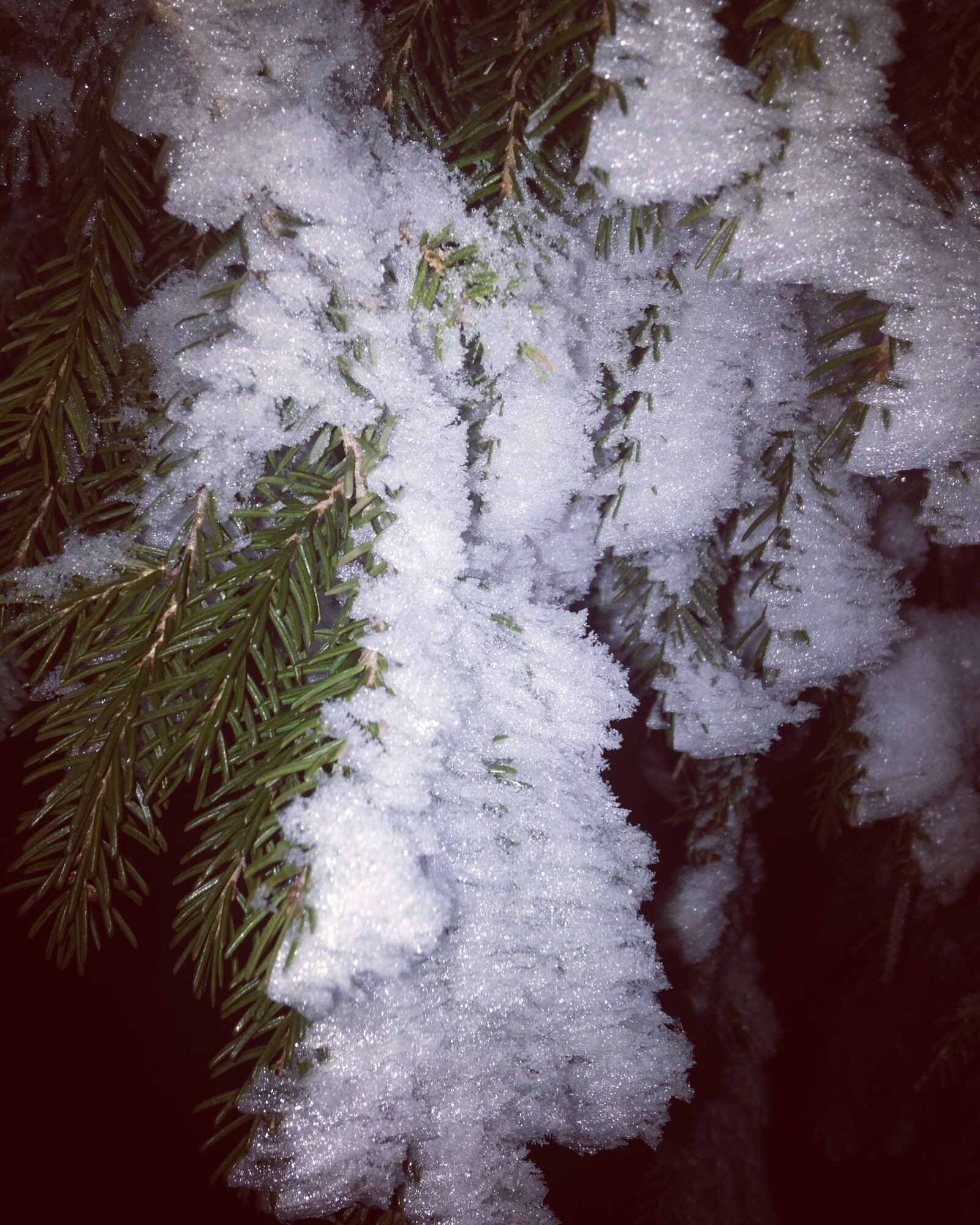 iPhone 5c back camera 4.12mm f/2.4 sample photo. Winter, snow, cold photography