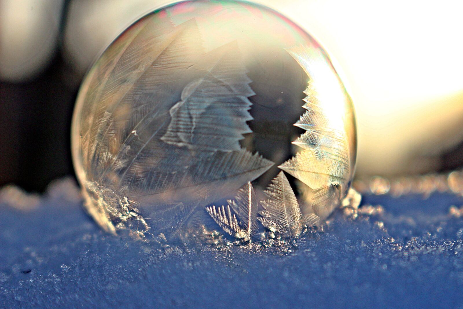 Canon EOS 100D (EOS Rebel SL1 / EOS Kiss X7) sample photo. Ice bubble, ice crystal photography