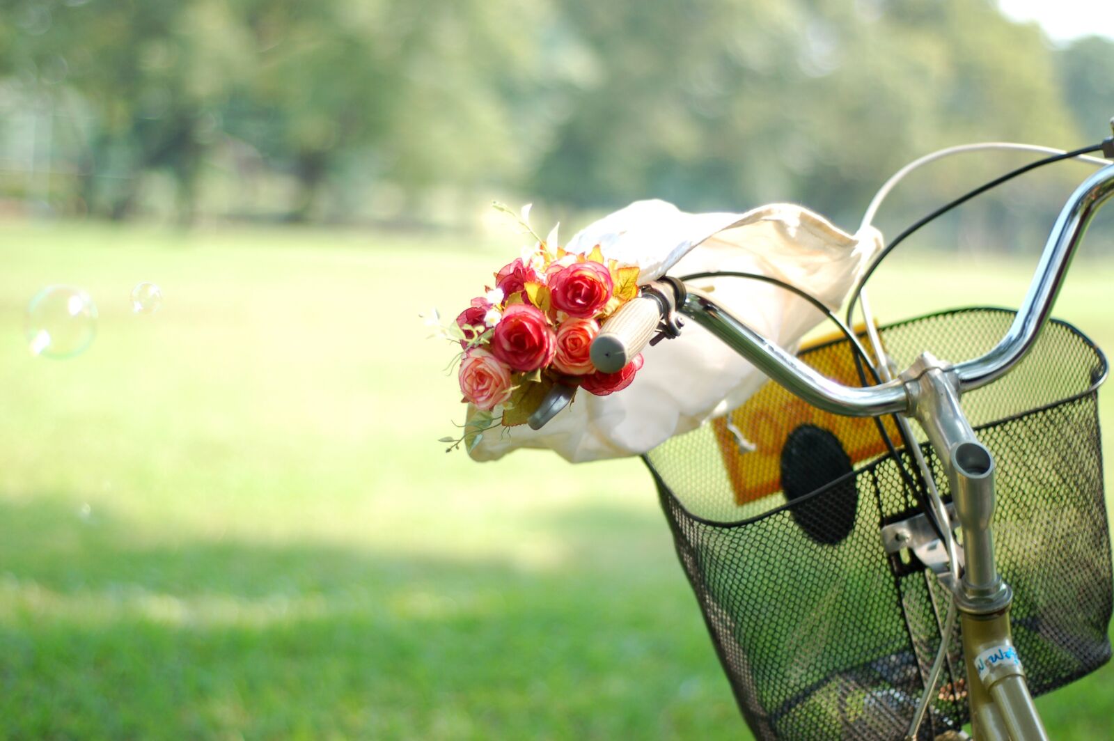 Nikon D50 sample photo. Bike, flowers, park photography
