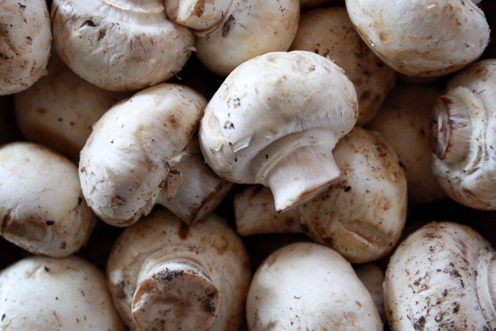 f/3.5-5.6 IS sample photo. Food, vegetable, garlic, mushroom photography