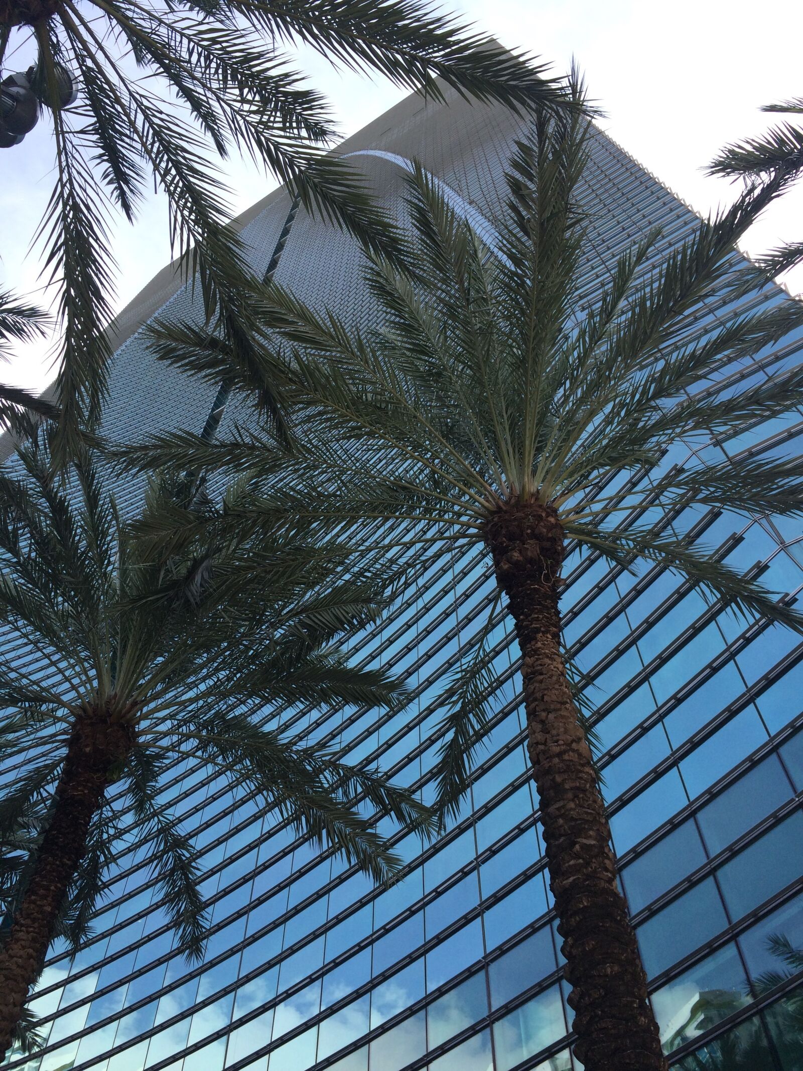 Apple iPhone 5s sample photo. Building, glass, city photography