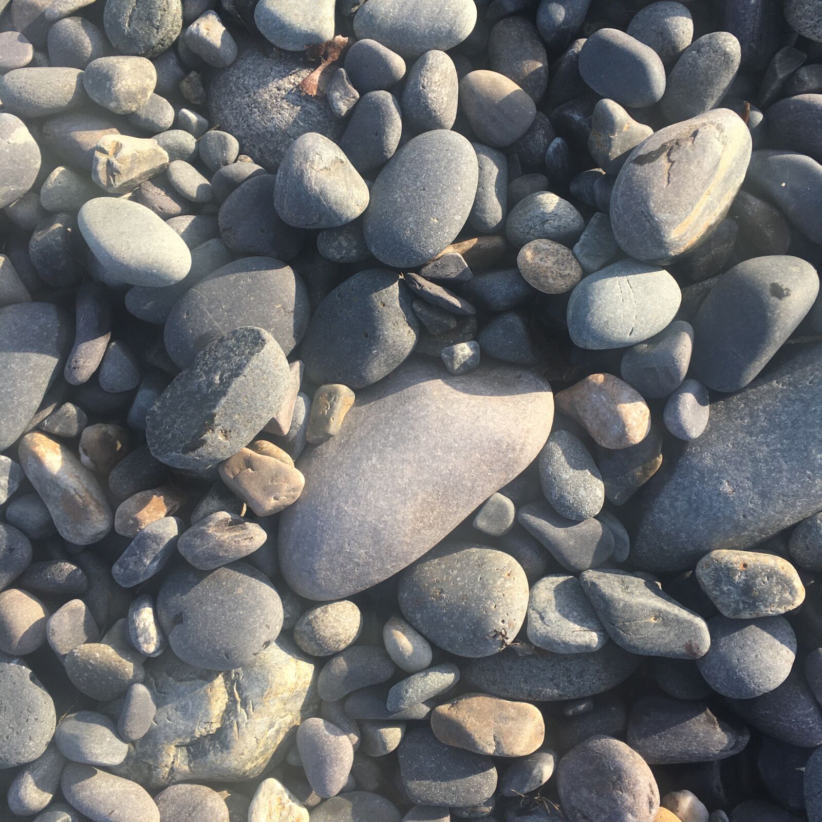 iPhone SE back camera 4.15mm f/2.2 sample photo. Rocks, texture, nature photography