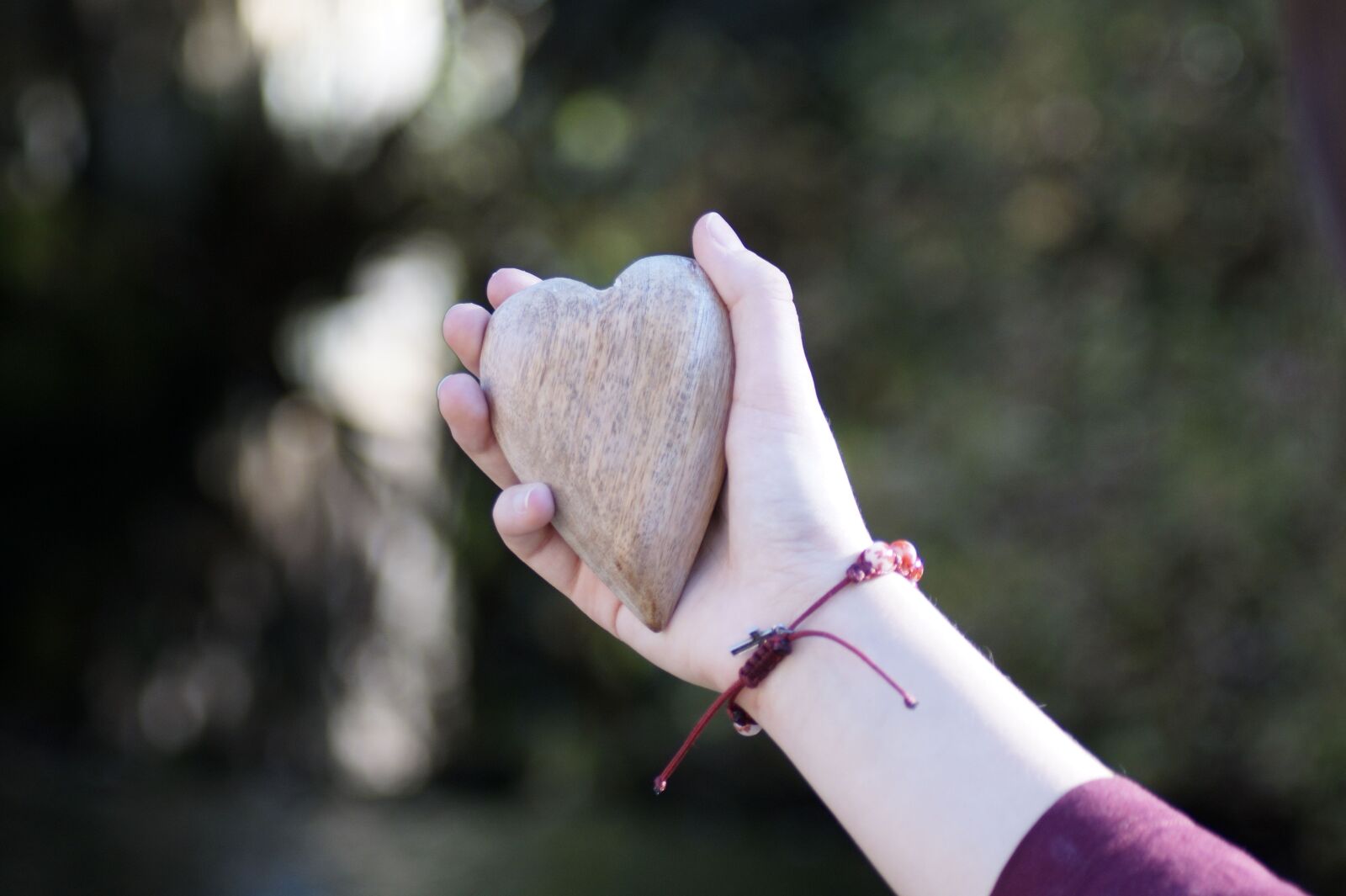 Sony SLT-A58 sample photo. Heart, hand, keep photography