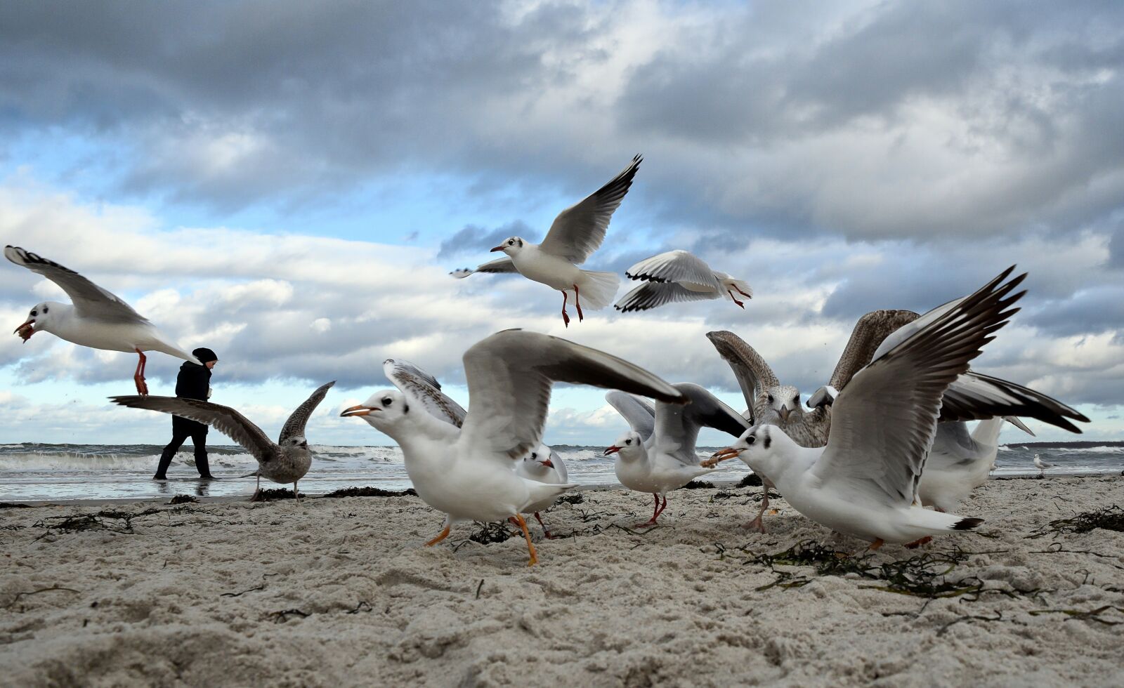 Nikon D5300 sample photo. Baltic sea, baltic sea photography