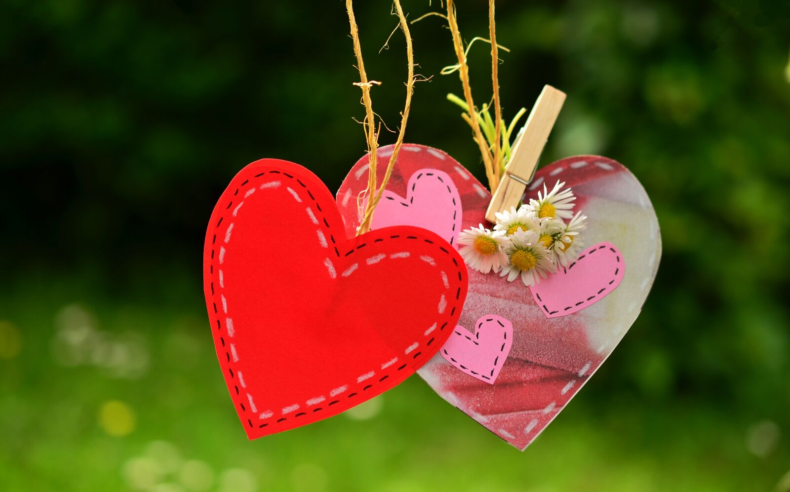 Nikon D5100 sample photo. Heart, love, red heart photography
