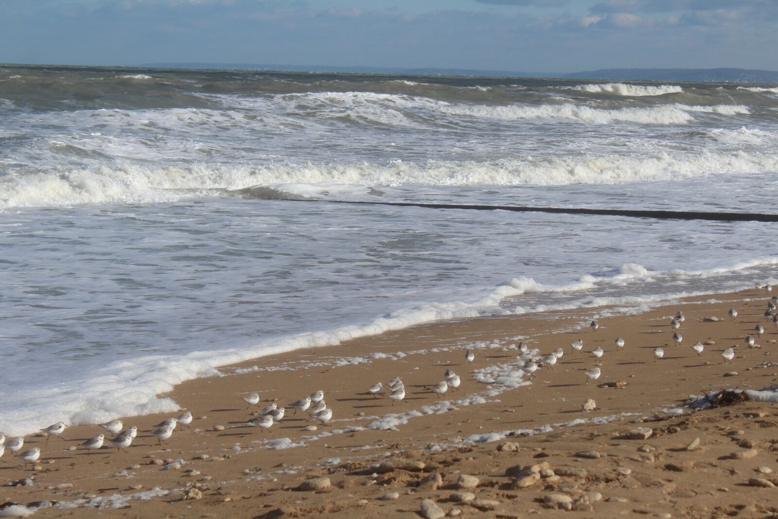 Canon EOS 1200D (EOS Rebel T5 / EOS Kiss X70 / EOS Hi) sample photo. Sea, storm, sand photography