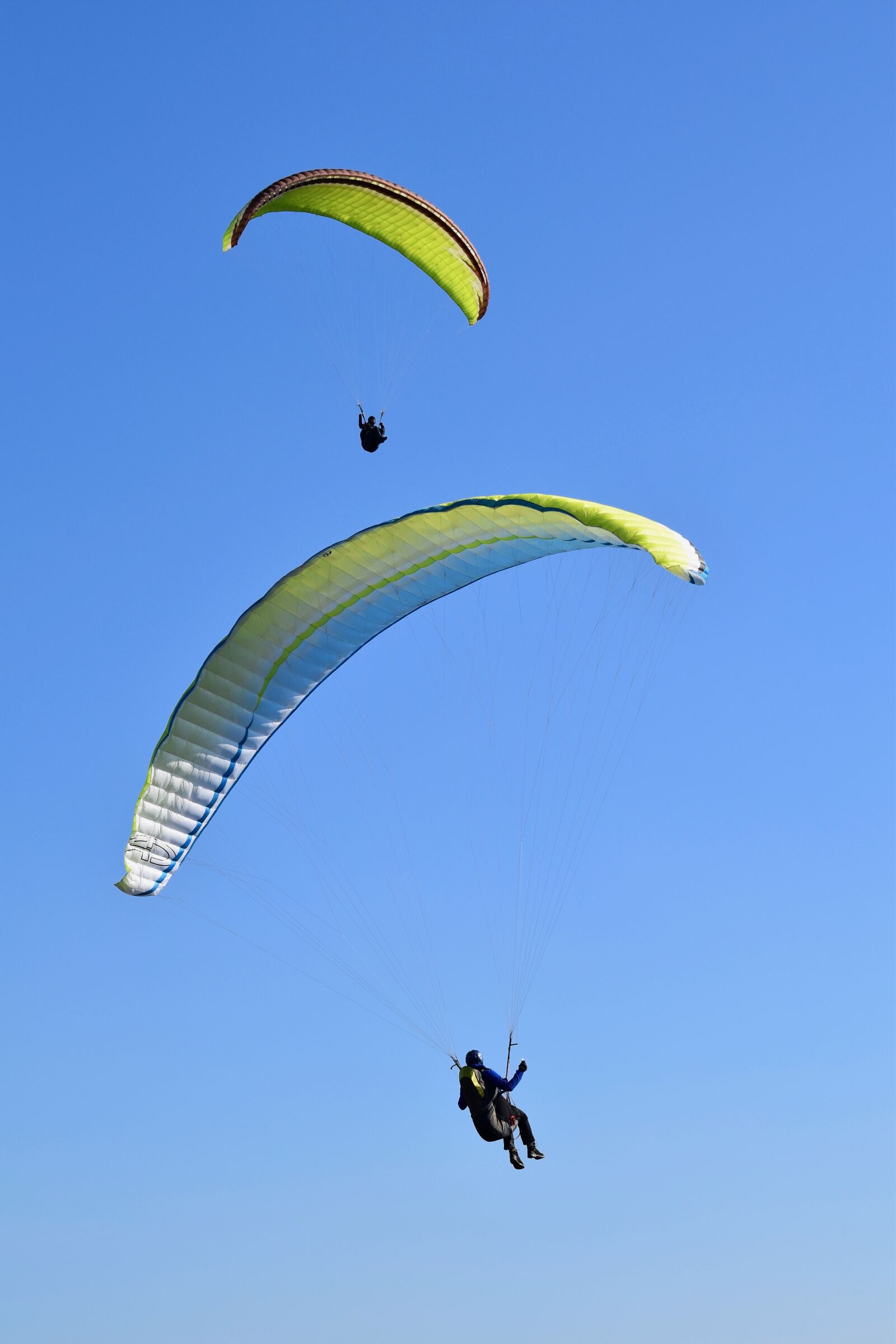 Nikon D5600 sample photo. Paragliding, paraglider, paragliders photography