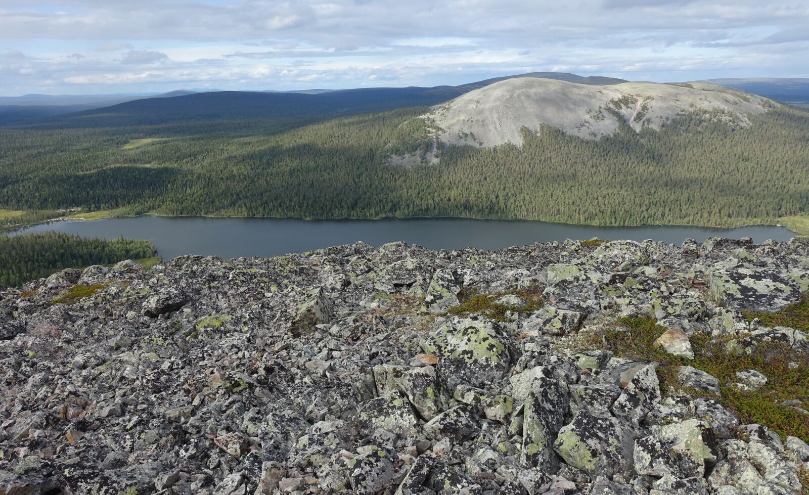 Sony Cyber-shot DSC-RX100 III sample photo. The lapland, fell, nature photography