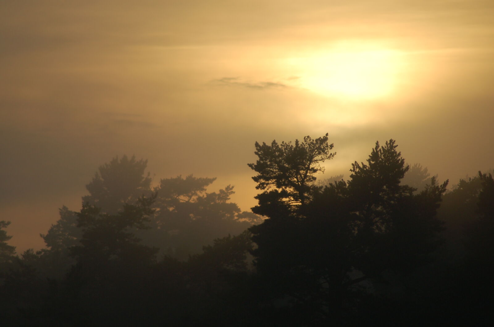 Nikon AF Nikkor 70-300mm F4-5.6G sample photo. Clouds, fog, mist, sunset photography