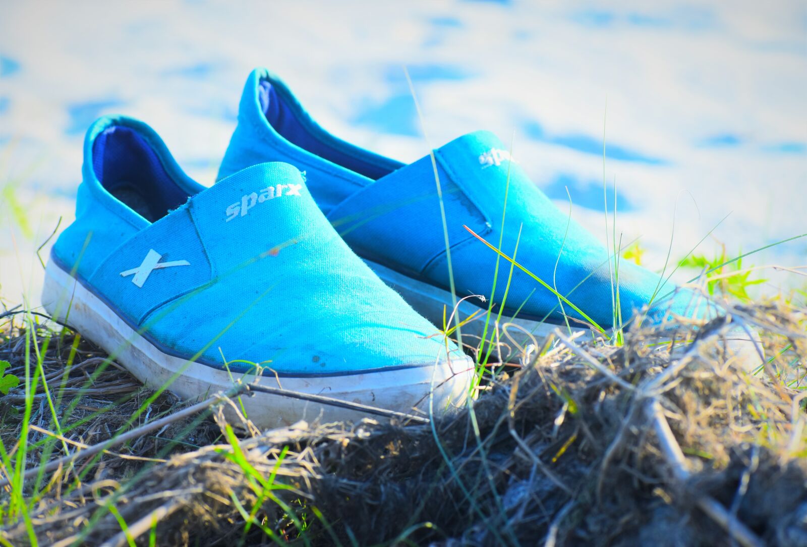 Nikon D5600 sample photo. Nature, summer, grass photography