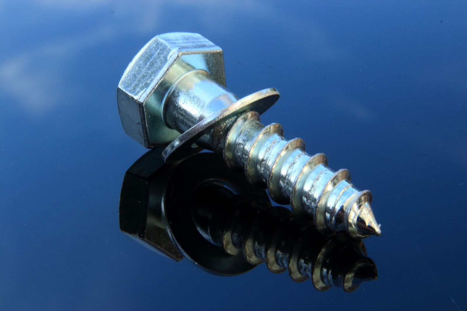Canon EOS 700D (EOS Rebel T5i / EOS Kiss X7i) sample photo. Screw, woodscrew, metal photography