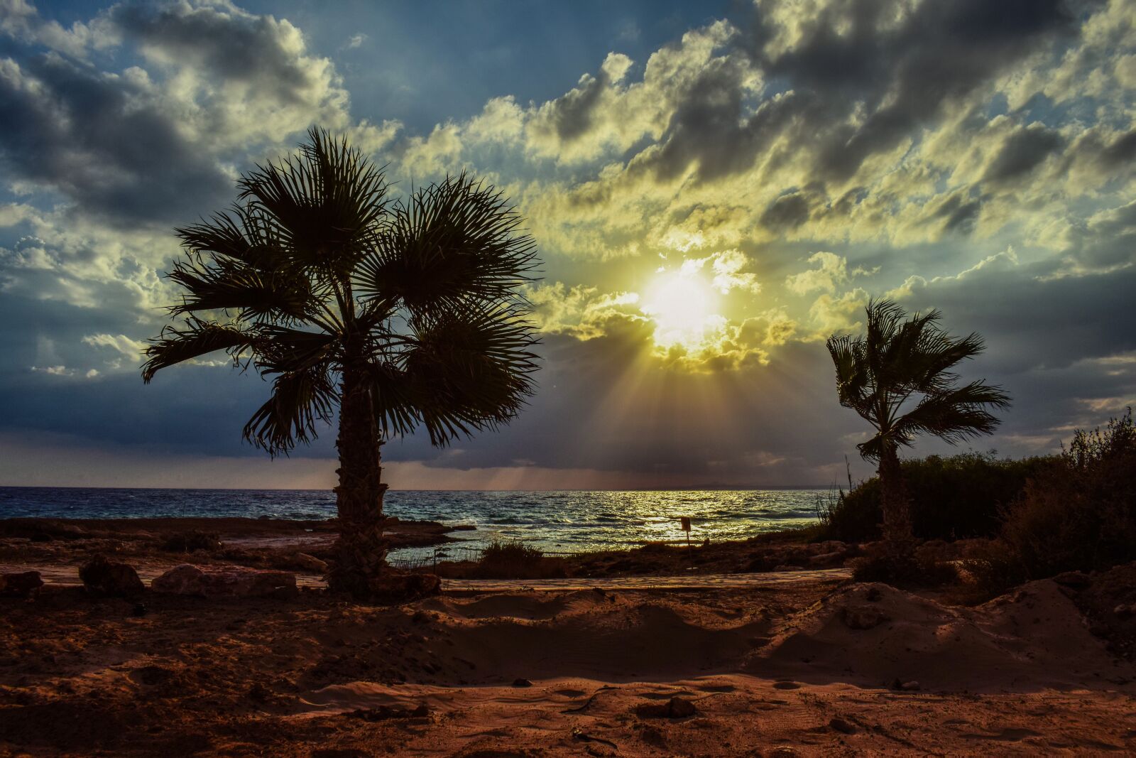 Nikon D3300 sample photo. Sunset, palm trees, sky photography