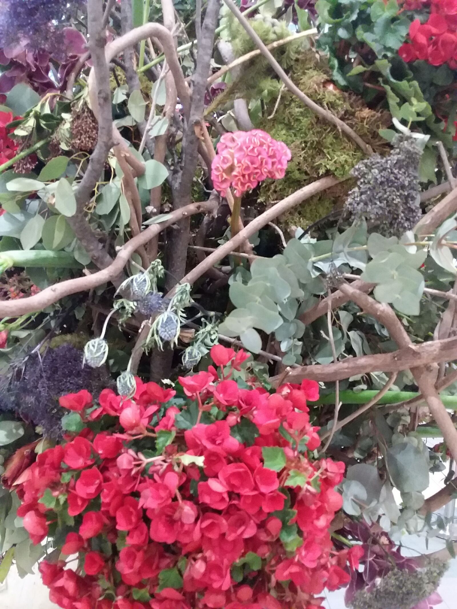 Samsung Galaxy J3(2016) sample photo