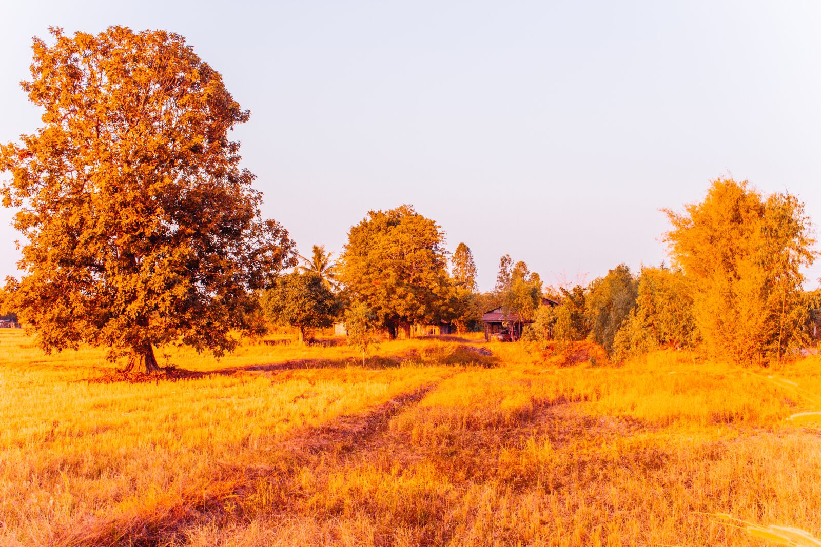 Canon EOS 700D (EOS Rebel T5i / EOS Kiss X7i) sample photo. Sunlight, nature, sunrise photography