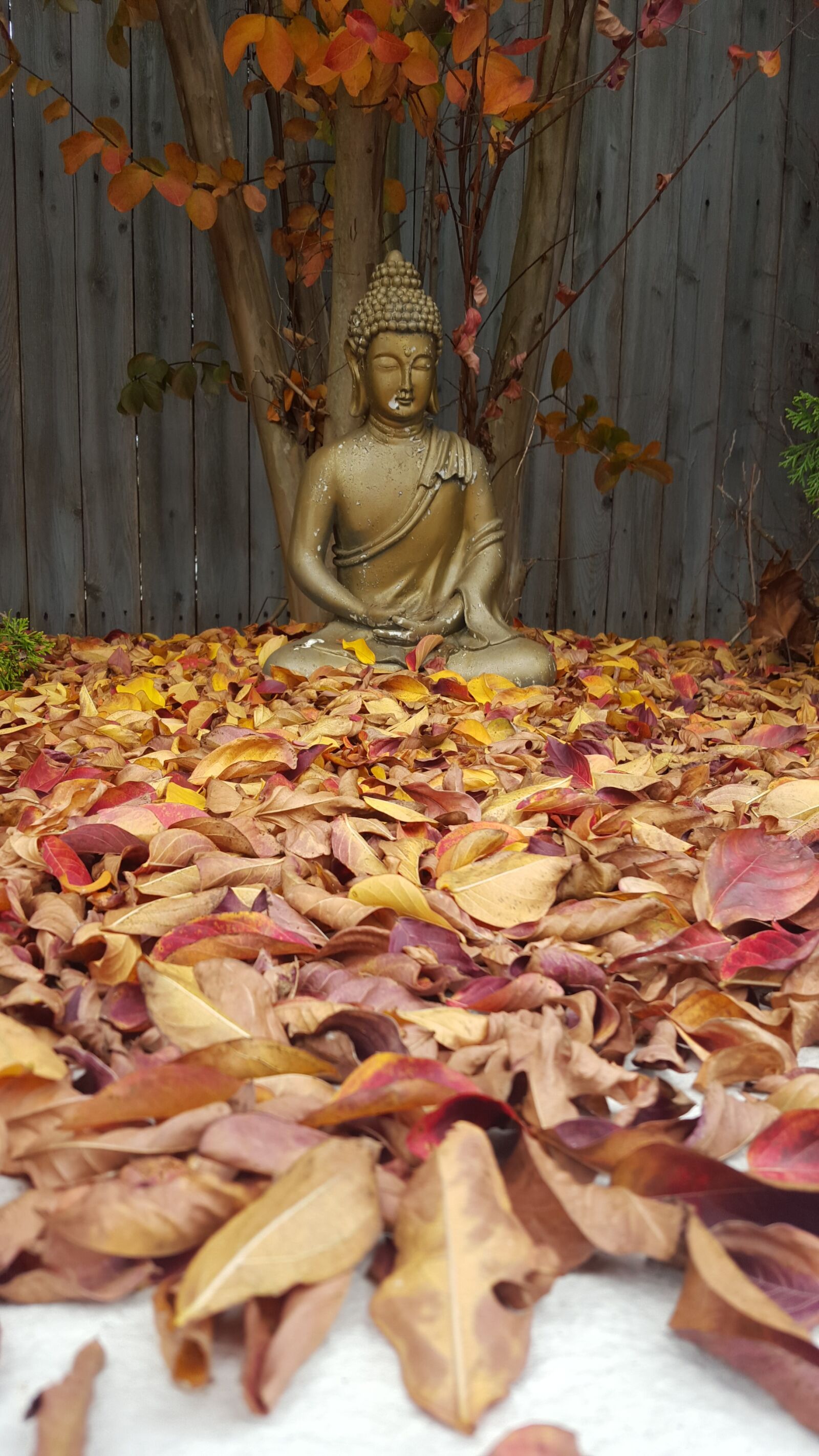 Samsung Galaxy S6 sample photo. Buddha, leaves, prayer photography