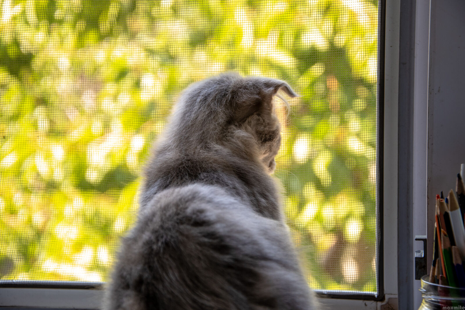 Nikon D750 sample photo