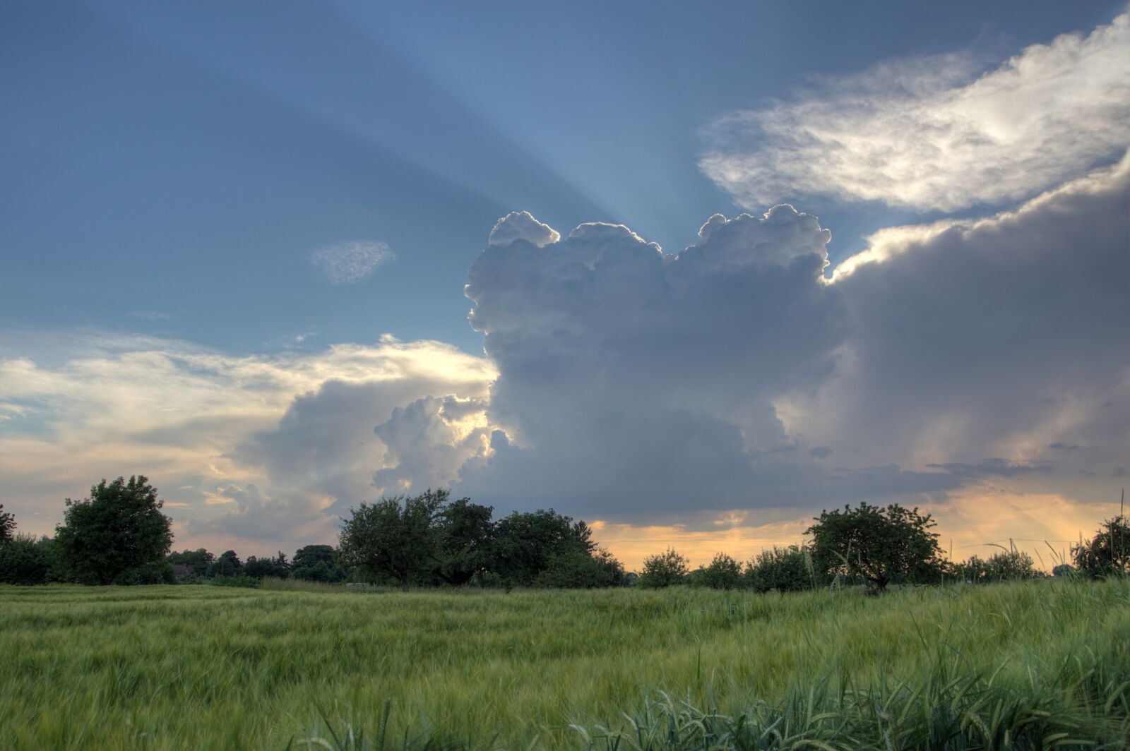 Sony SLT-A68 sample photo. Thundercloud, field, enghien photography