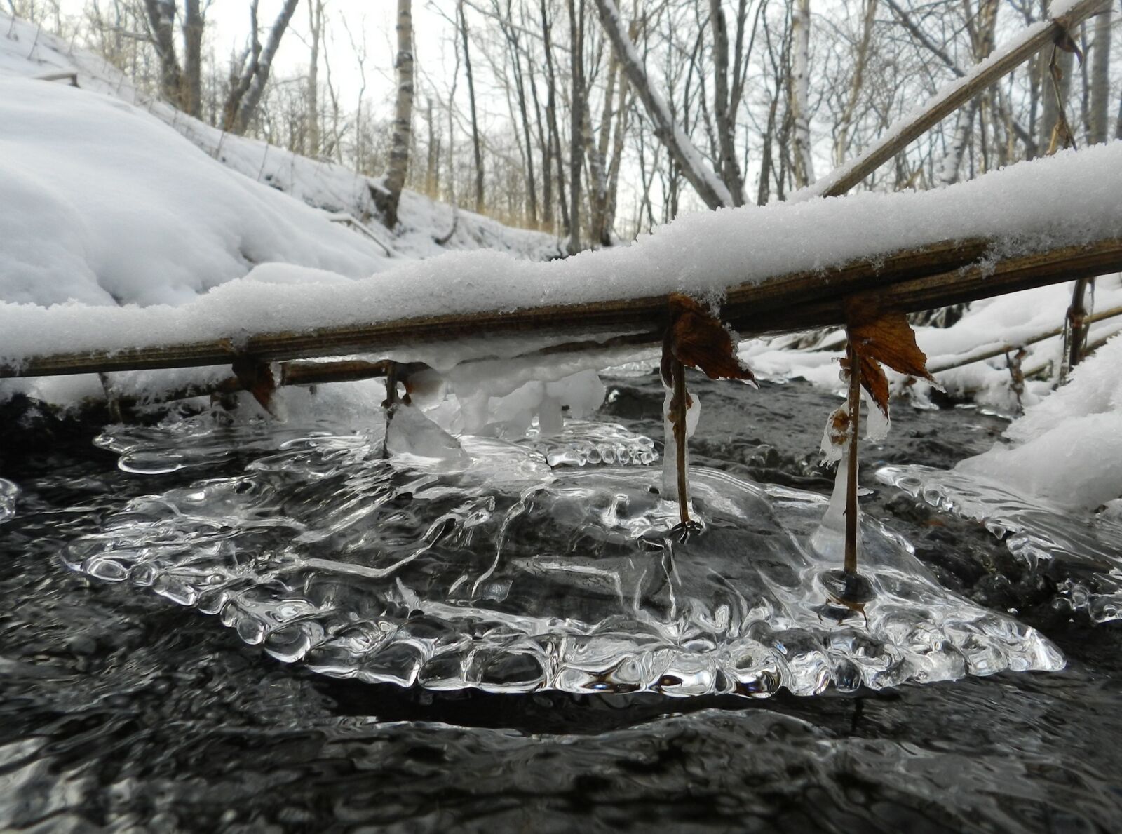 Nikon Coolpix P500 sample photo. Winter, winter forest, creek photography