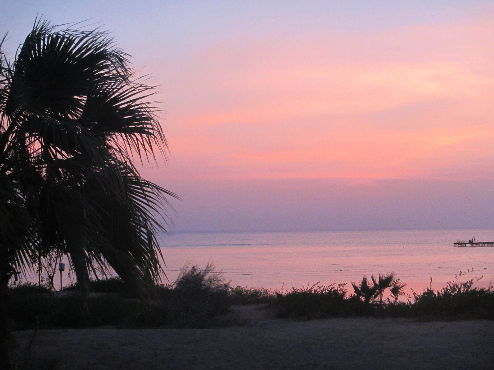 Canon PowerShot D30 sample photo. Sunrise, beach, palm photography