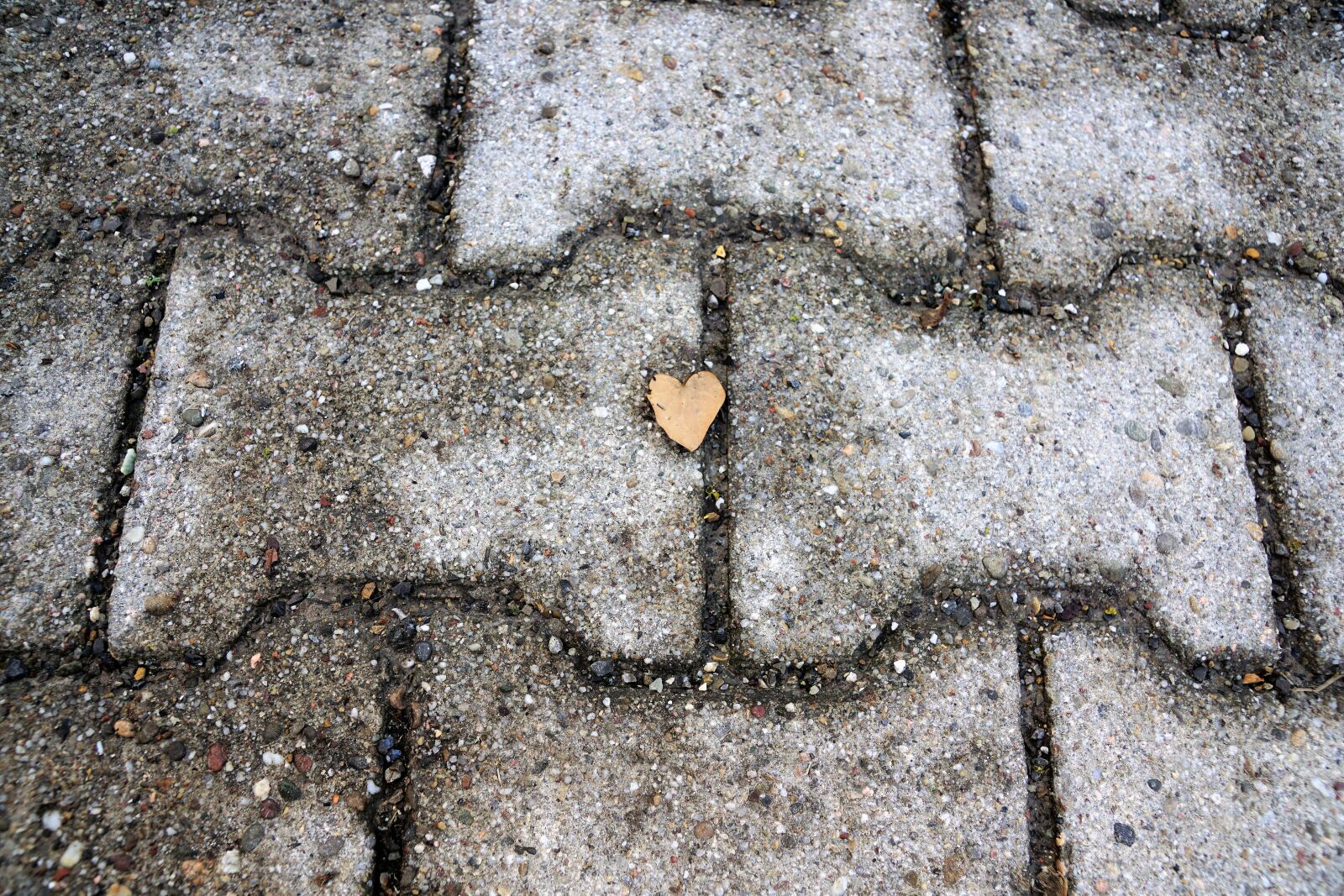 Sony ILCA-77M2 + Sony DT 16-50mm F2.8 SSM sample photo. Texture, stone, background photography