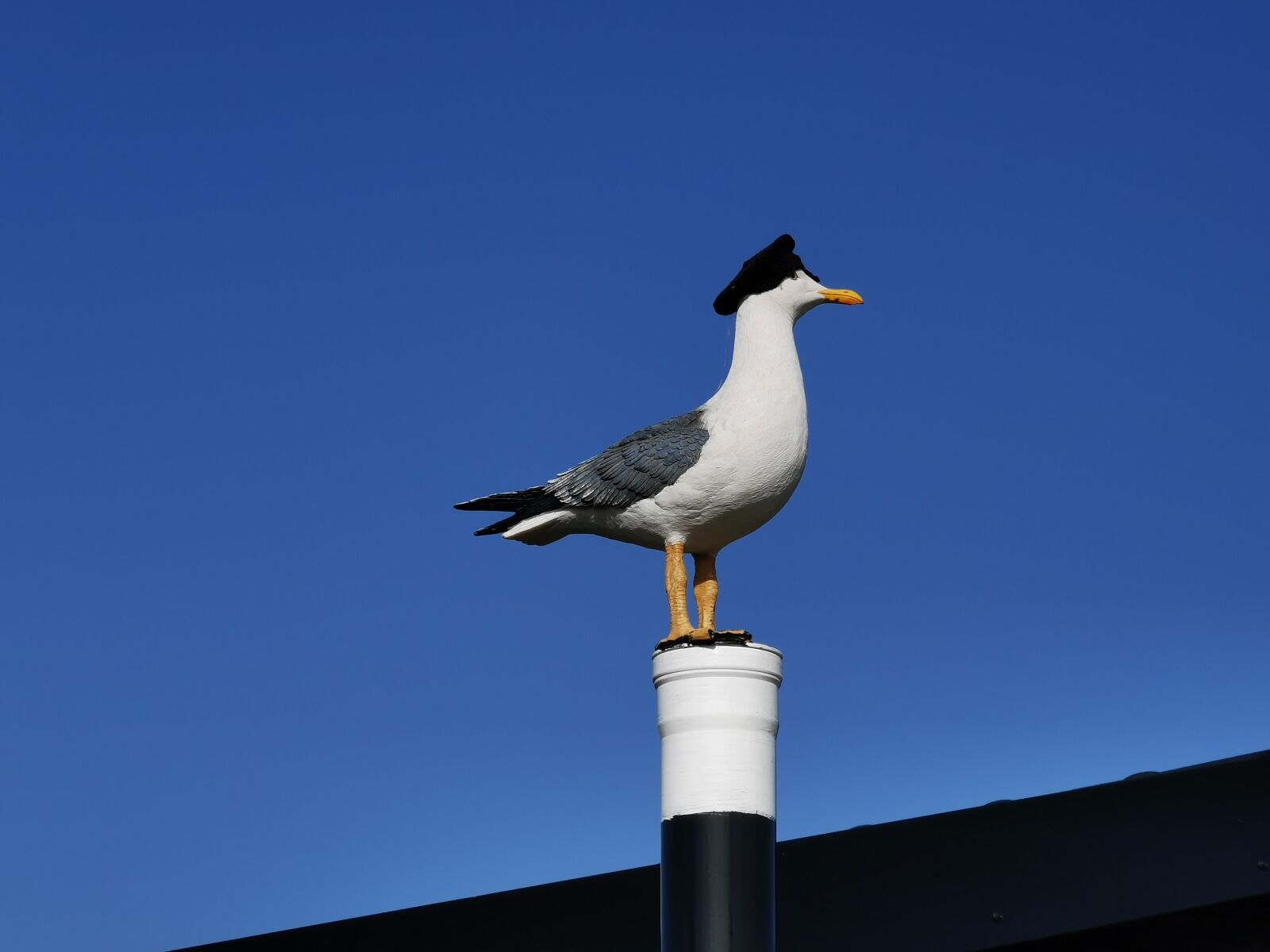 HUAWEI P30 Pro sample photo. Denmark, gull, port motifs photography