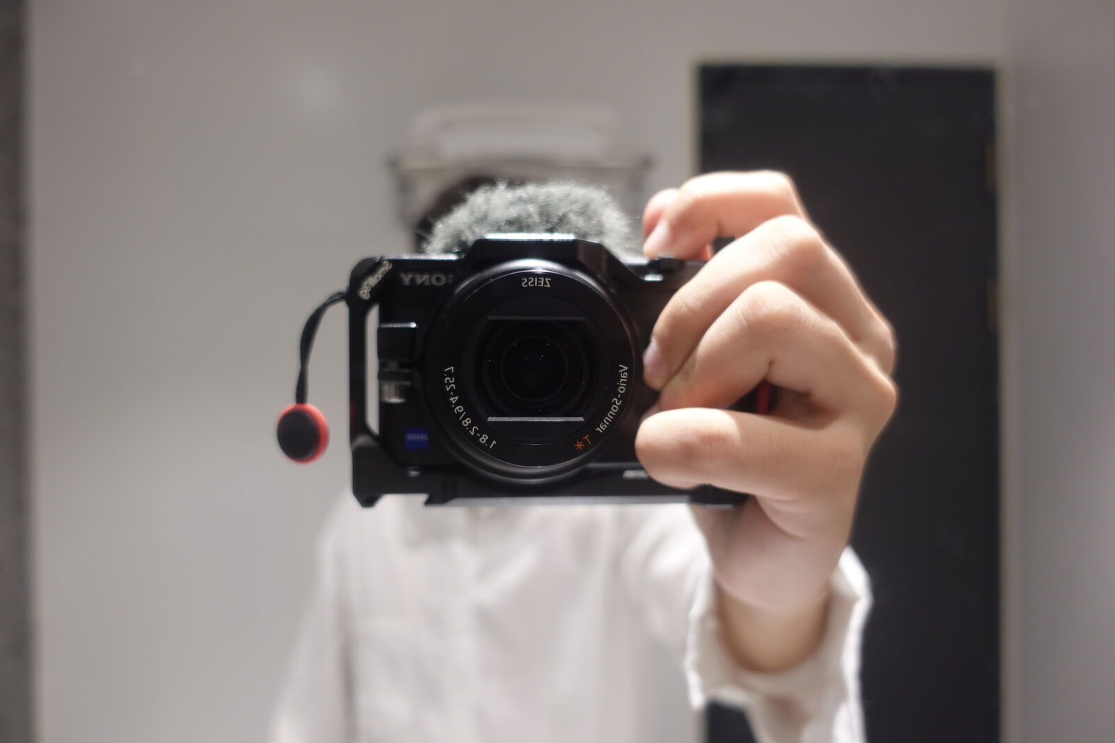 Sony ZV-1 sample photo