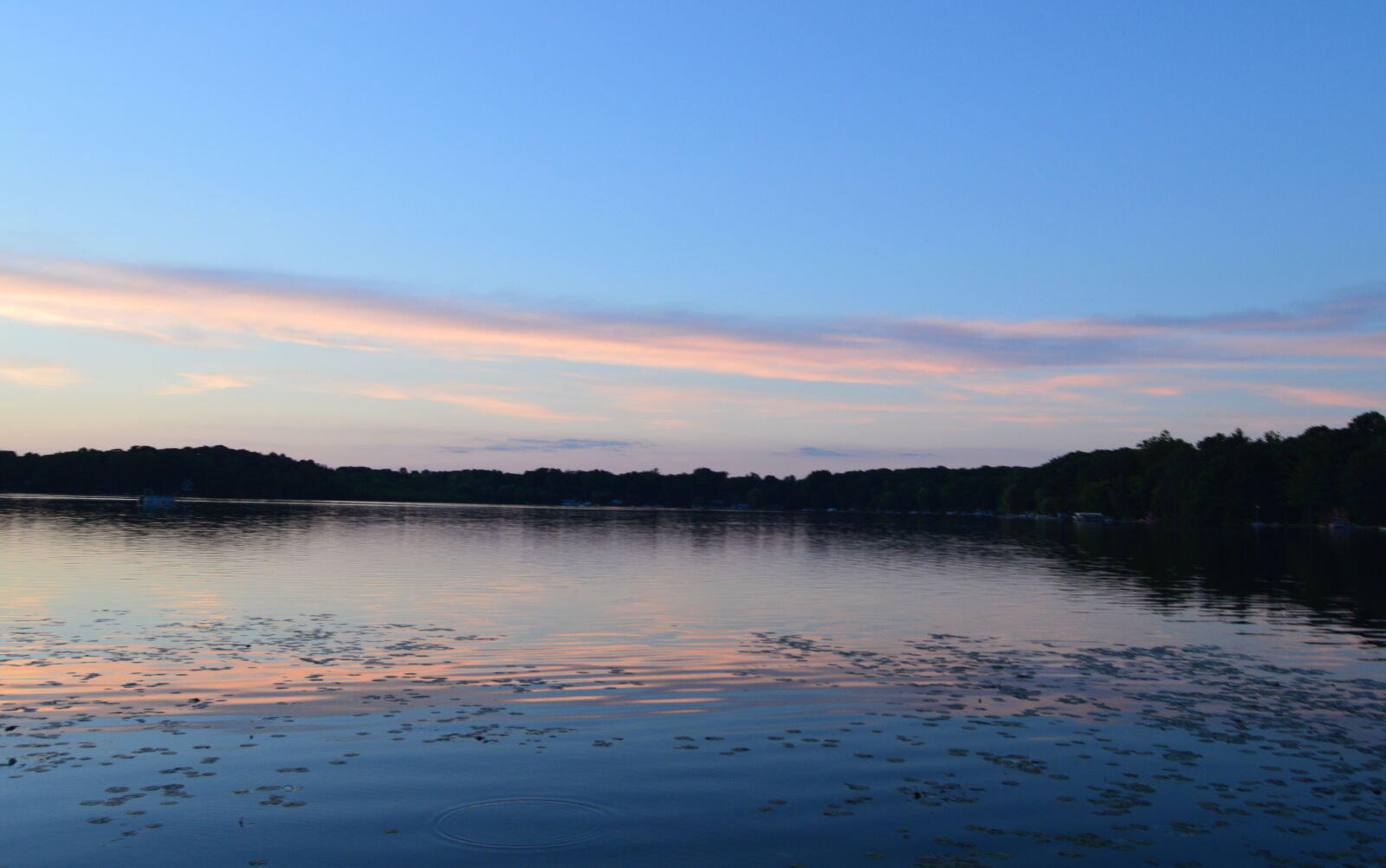 Nikon D3200 sample photo