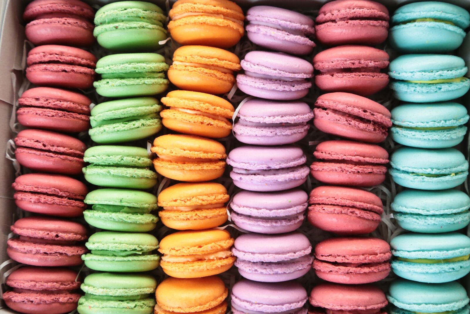 Canon EF 24-105mm F4L IS USM sample photo. Colorful, sweet, biscuit photography