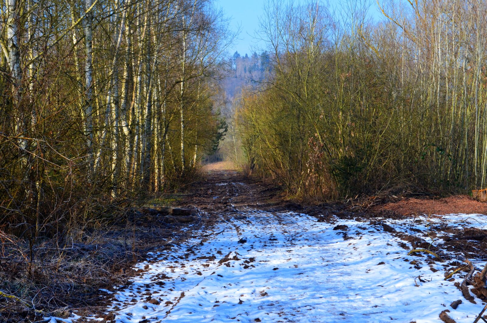 Nikon D5100 sample photo. Winter, snow, forest photography