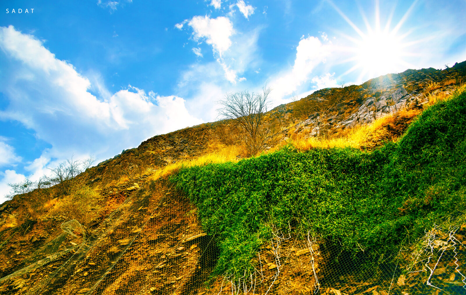 Nikon D7100 sample photo. View, of, grassy, landscape photography