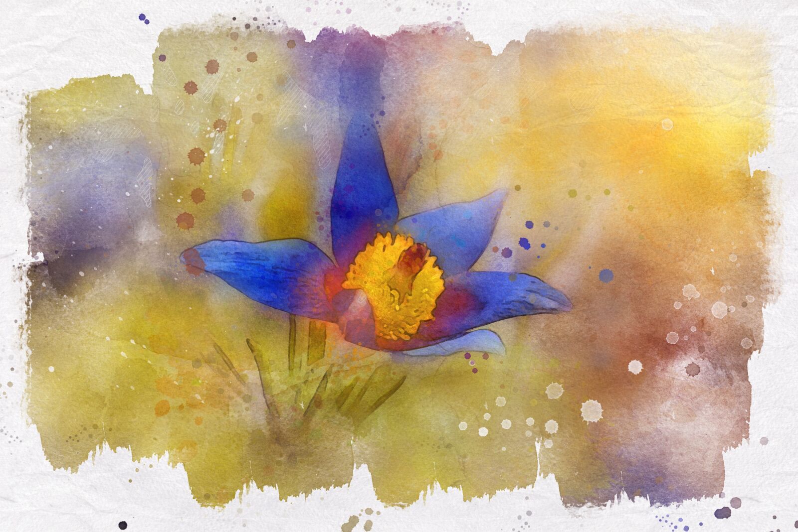 Nikon D750 sample photo. Anemone, blue, spring photography
