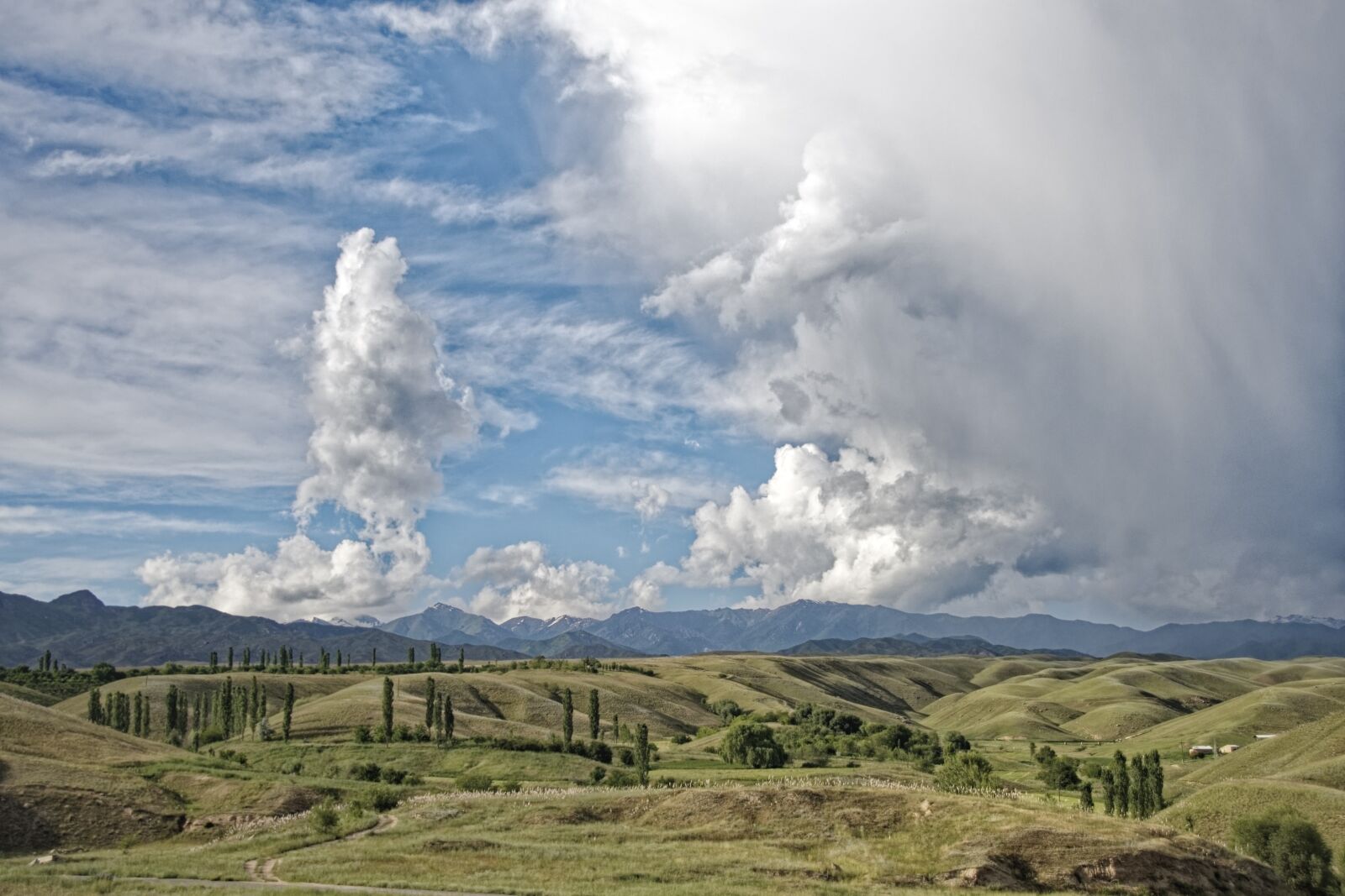 Nikon D500 sample photo. Kyrgyzstan, the ferghana mountains photography