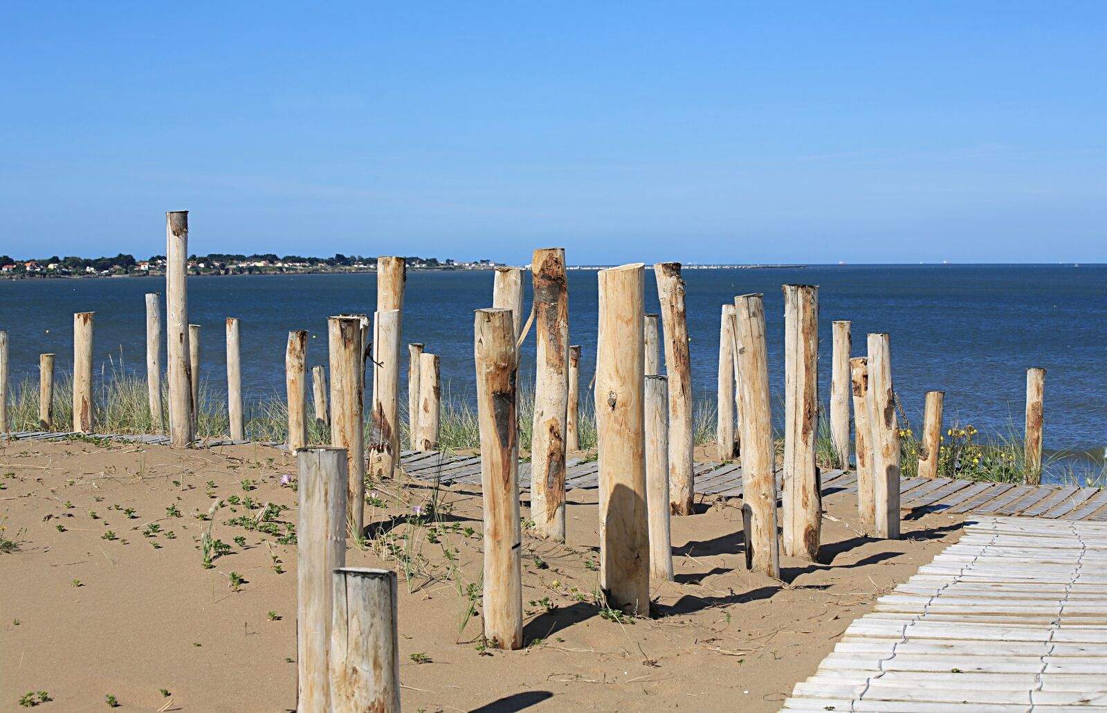 Canon EOS 5D Mark III sample photo. Beach, wood, sea photography