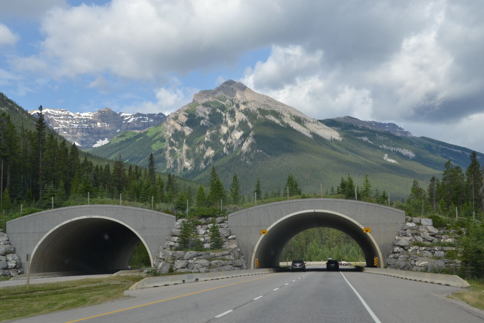 Nikon D3100 sample photo. Road, tunnel, passage photography