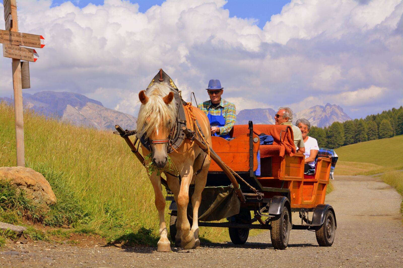 Nikon D7100 sample photo. Horse, calash, dolomites photography