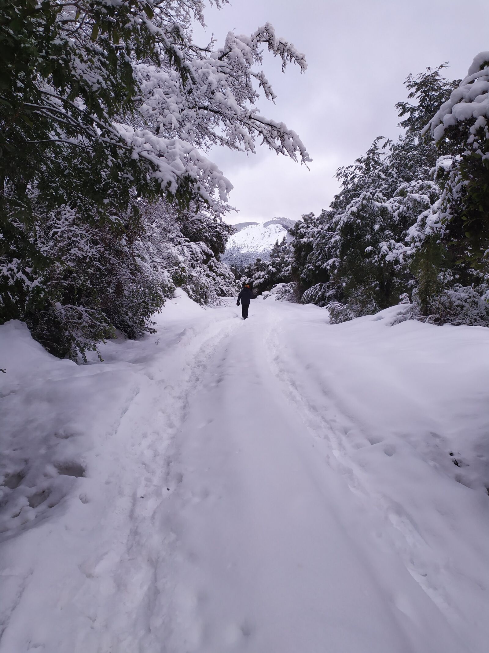 Xiaomi Redmi Note 7 sample photo. Path, snow, cold photography