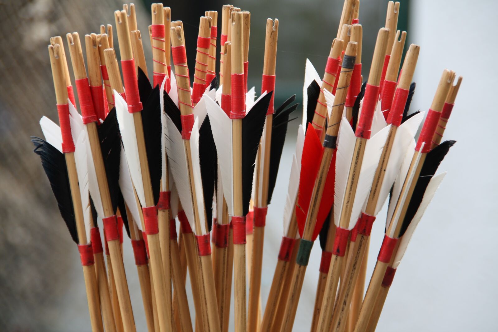 Canon EOS 450D (EOS Rebel XSi / EOS Kiss X2) sample photo. Arrows, quiver, archery photography