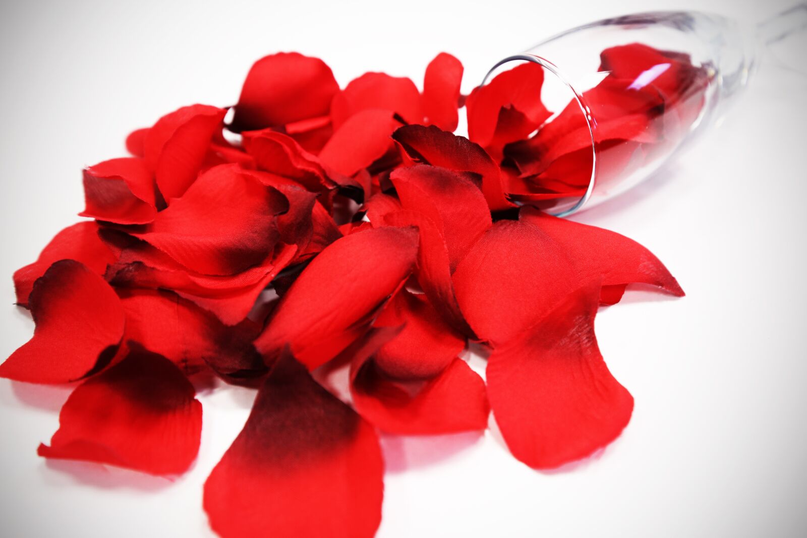 Canon EF 16-35mm F4L IS USM sample photo. Glass, red rose petals photography