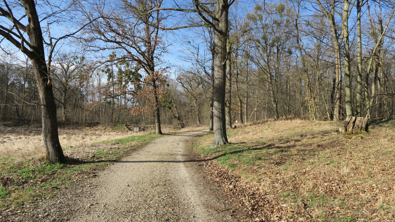 Canon PowerShot G7 X sample photo