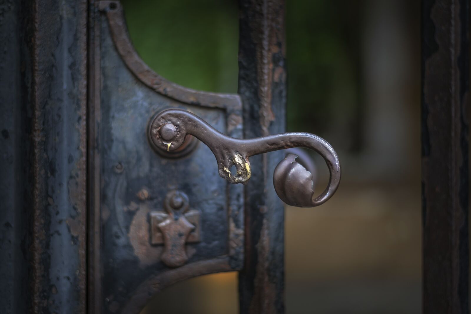 Nikon D610 sample photo. Handle, gate, old photography