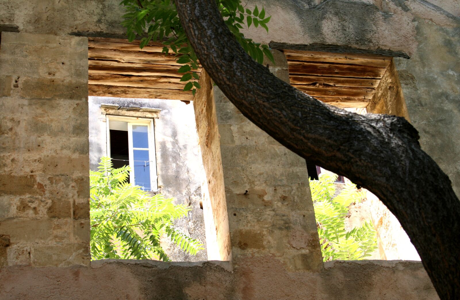 Canon EOS 30D sample photo. Window, opening, facade photography