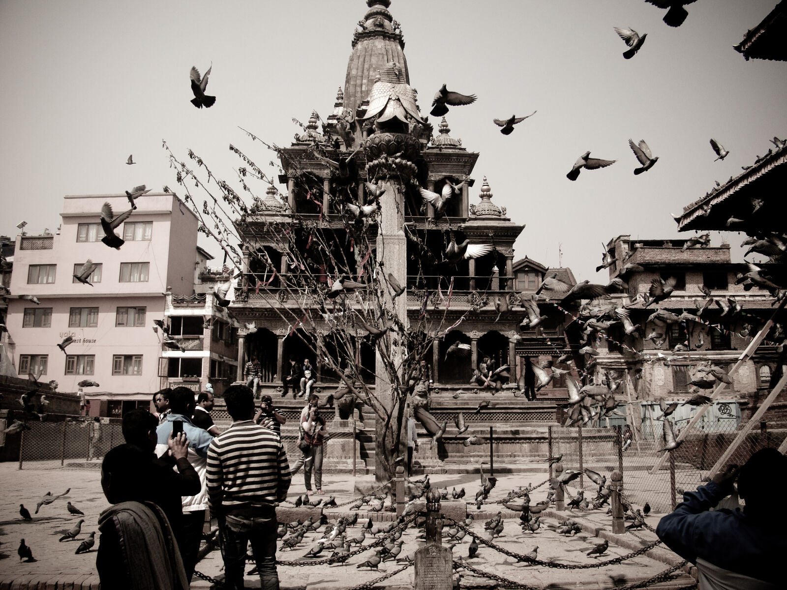 Sony Cyber-shot DSC-H50 sample photo. Bird, flying, temple photography
