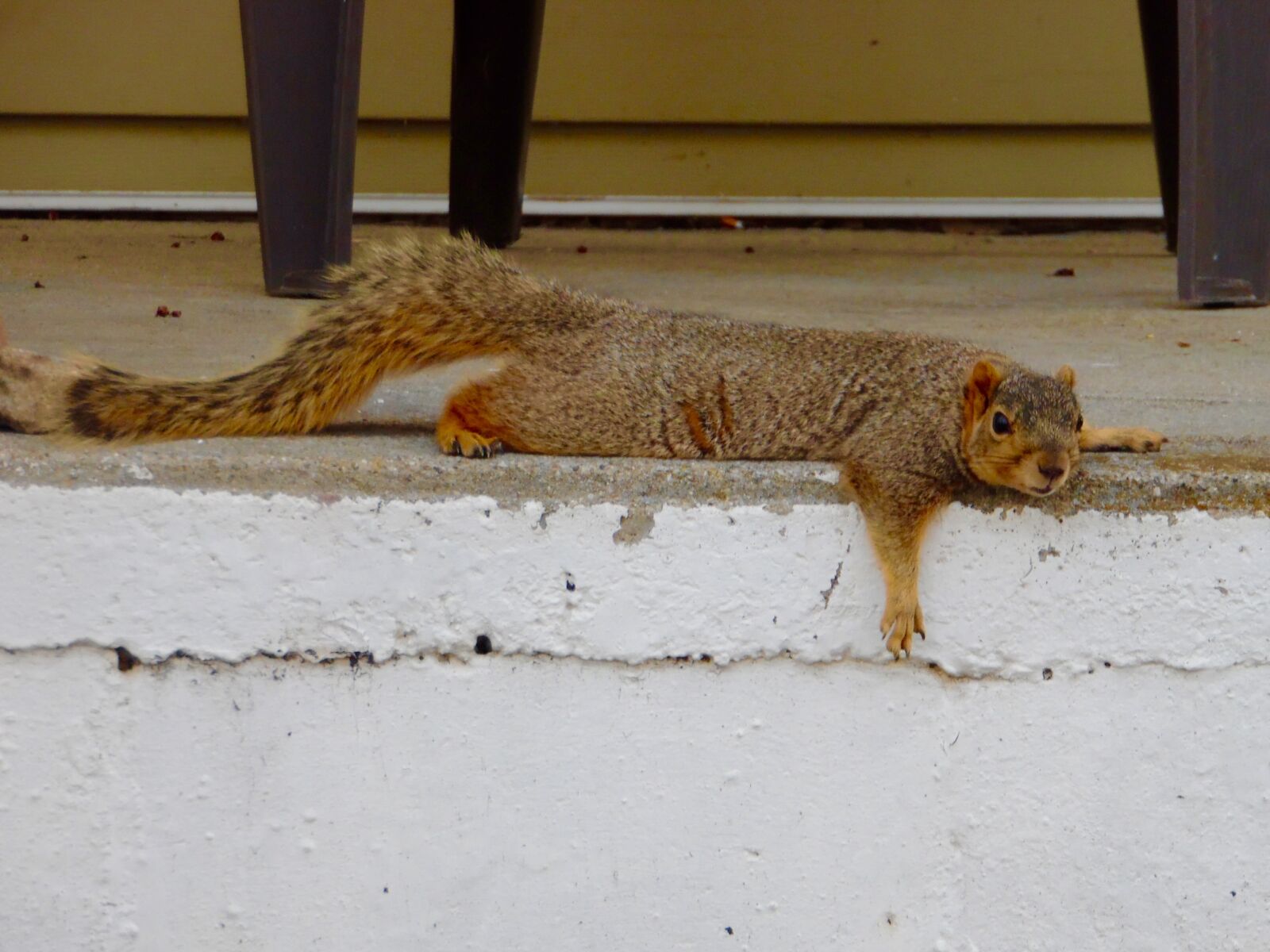 Samsung WB1100F/WB1101F/WB1102F sample photo
