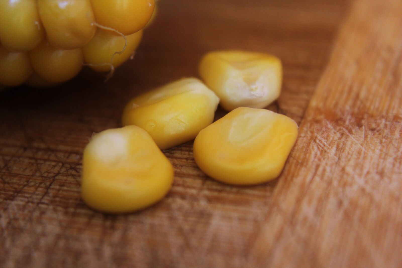 Canon EOS 550D (EOS Rebel T2i / EOS Kiss X4) sample photo. Corn, close up, food photography