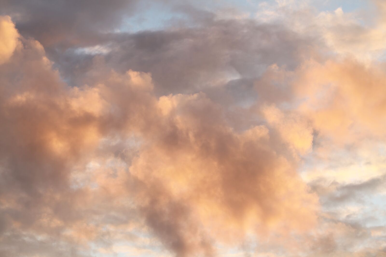 Canon EOS 5D Mark II sample photo. Sunlight, evening, sun photography