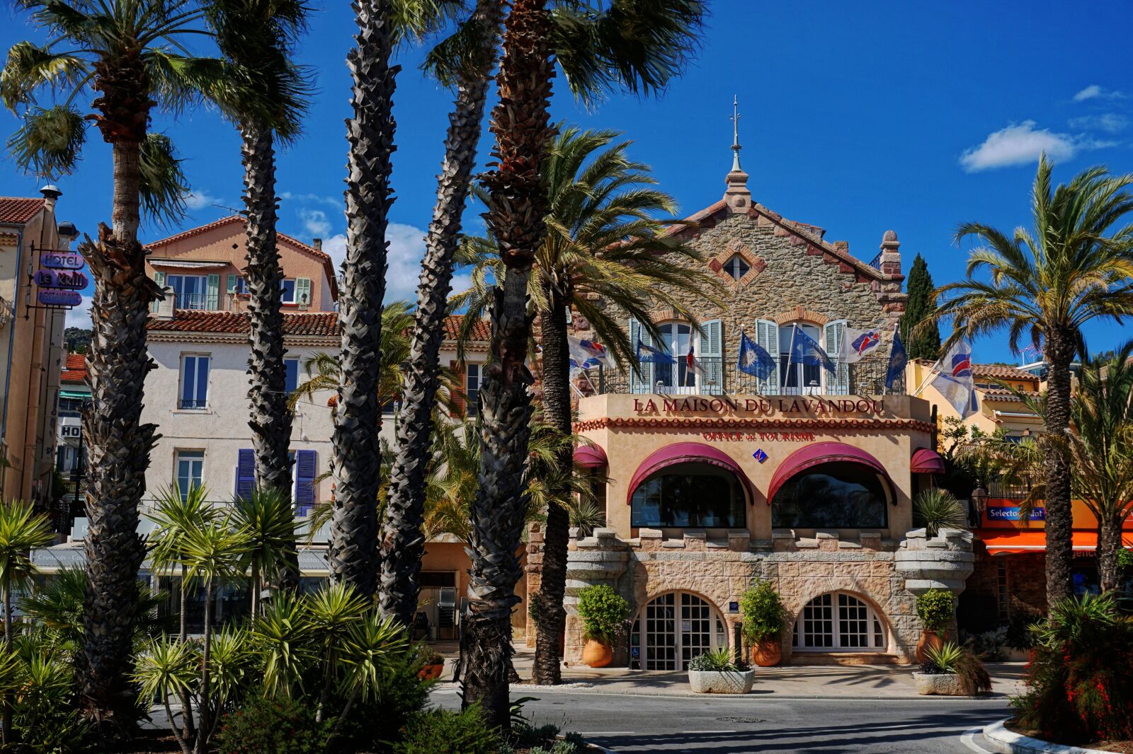 Sony E 16-50mm F3.5-5.6 PZ OSS sample photo. Summer, architecture, palm photography